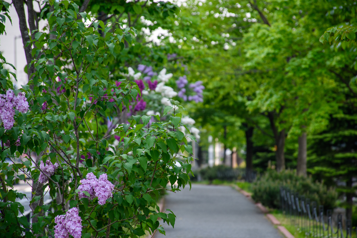 創成川公園